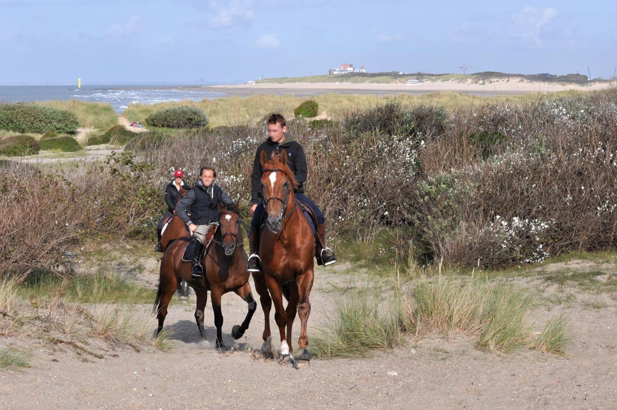 B&B Aquavit Knokke-Heist Eksteriør billede